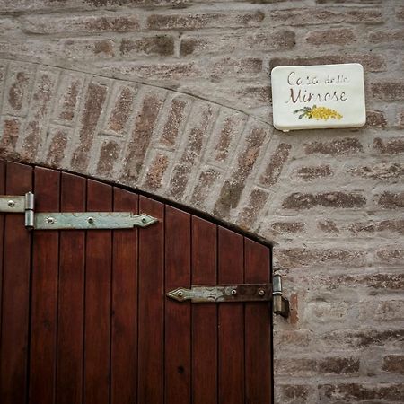 Accademia Al Colle Apartment Bologna Luaran gambar
